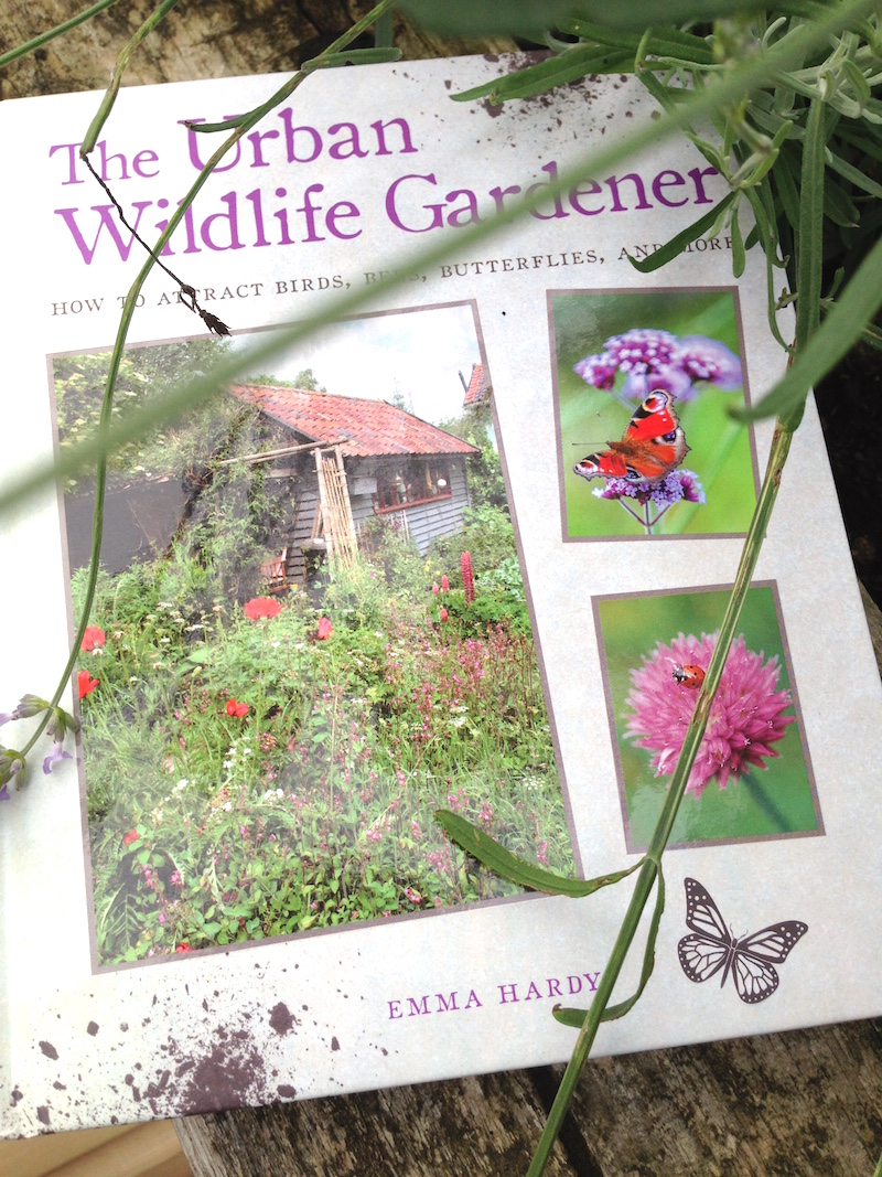 urban wildlife gardener 