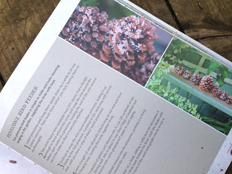 urban wildlife gardener