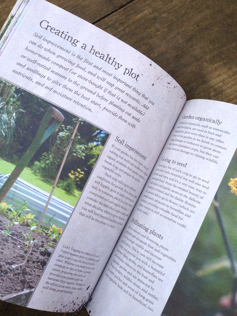 urban wildlife gardener 5