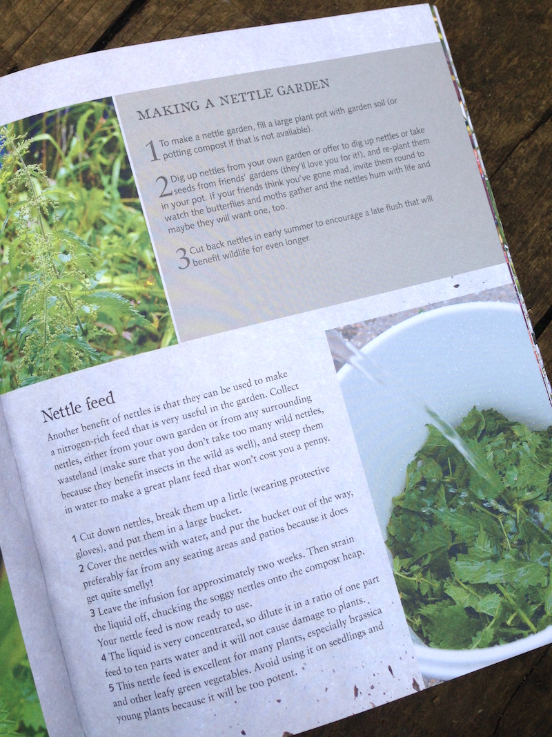 urban wildlife gardener