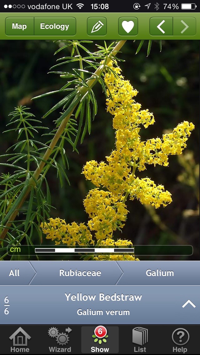 wild flowers app ID