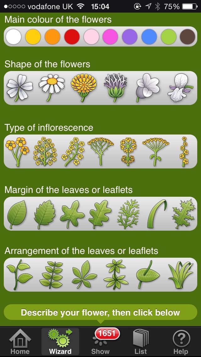 wild flowers app wizard