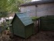 green chicken coop