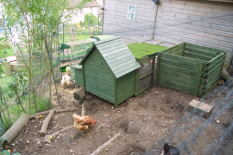 hen garden leaf mould
