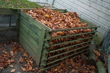 leaf mould bin