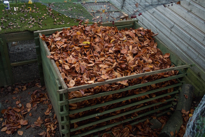 leaf mould pit