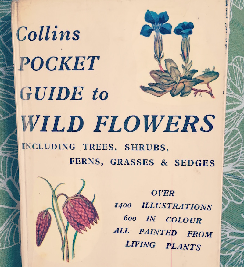 collins pocket guide