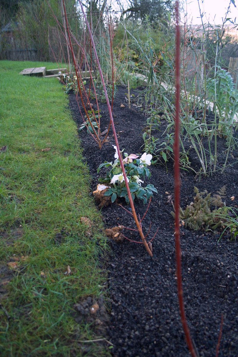 field compost herbaceous