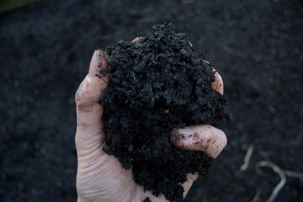 field compost vegetable