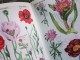 illustrated wildflower guide
