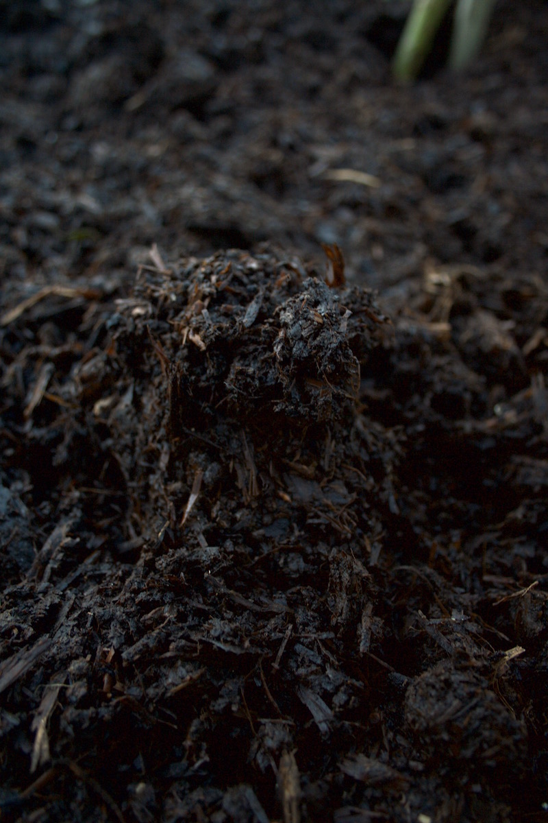manure
