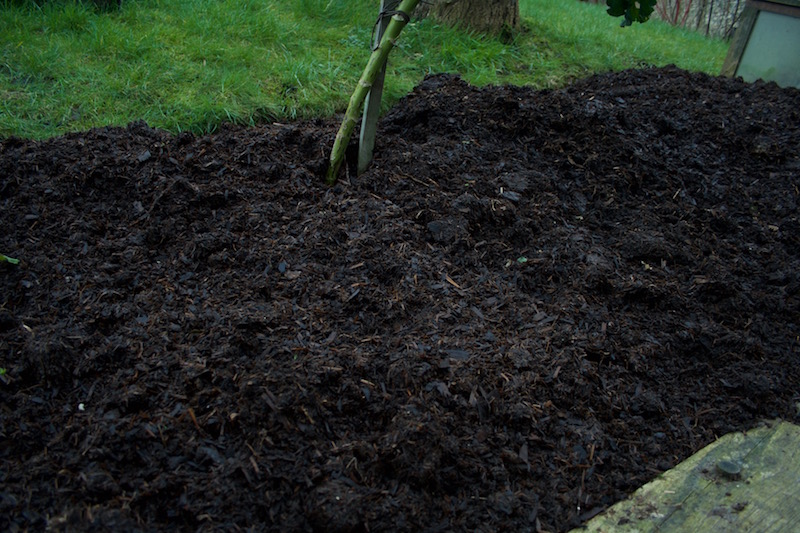 manure