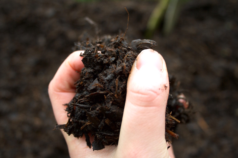 manure