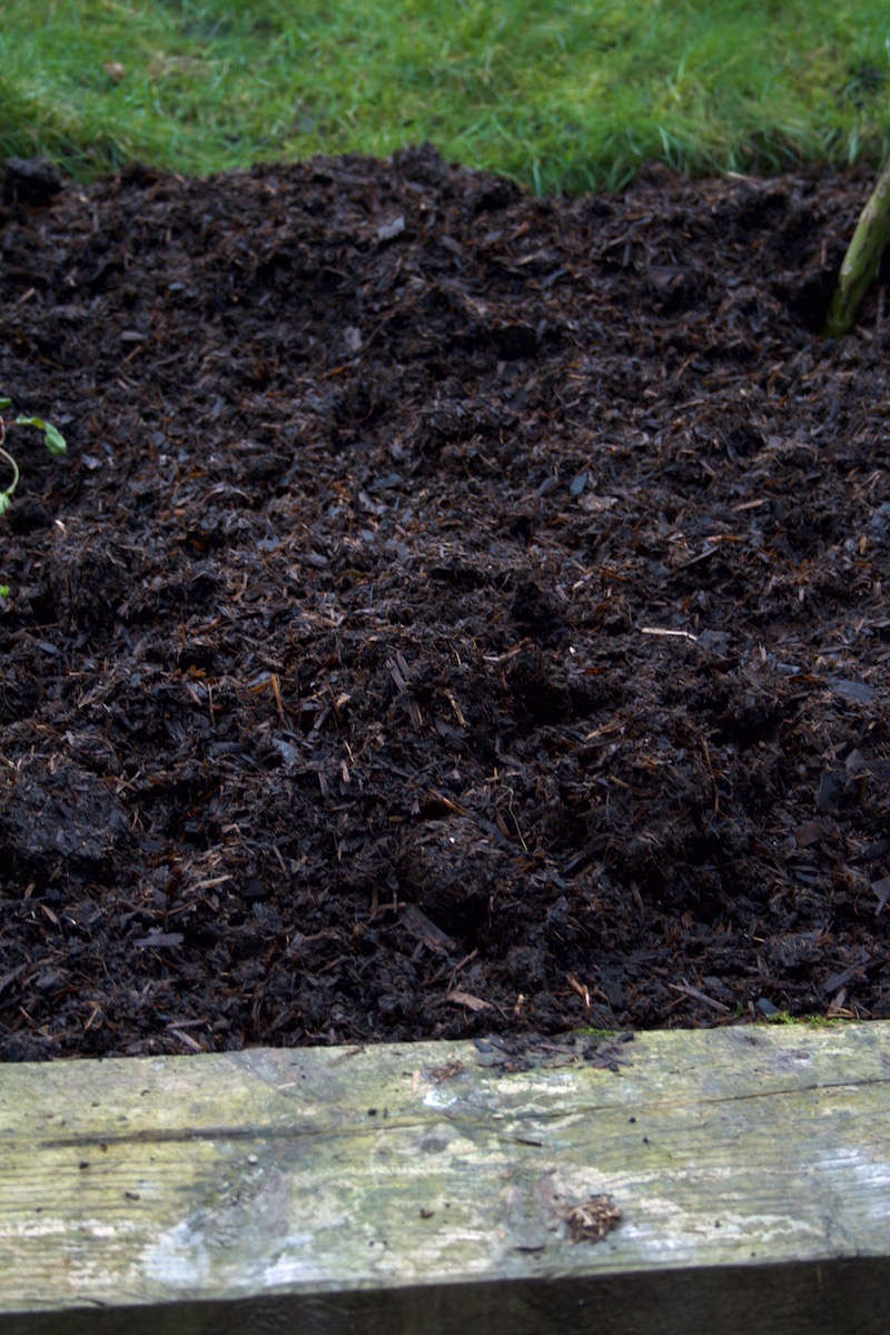 manure