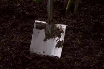 manure