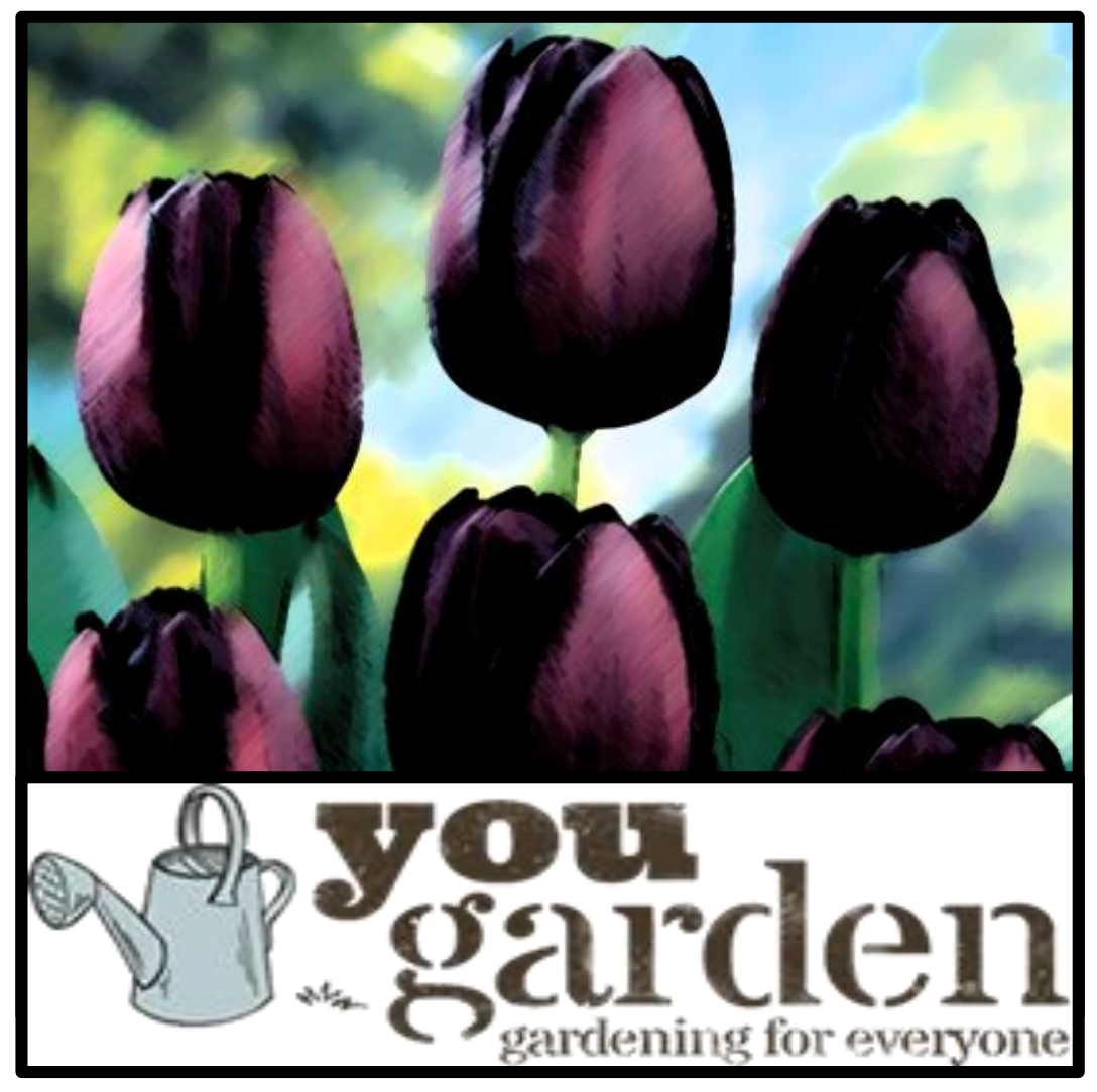 You Garden