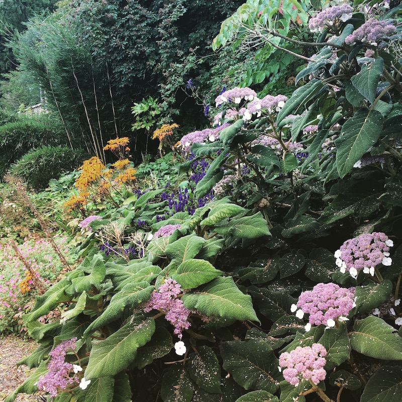 cally-gardens-15