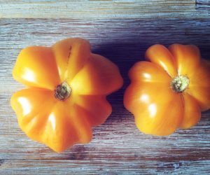 yellow ruffled tomato