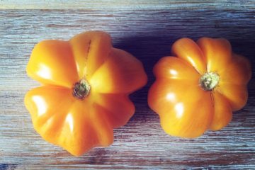 yellow ruffled tomato