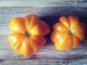 yellow ruffled tomato